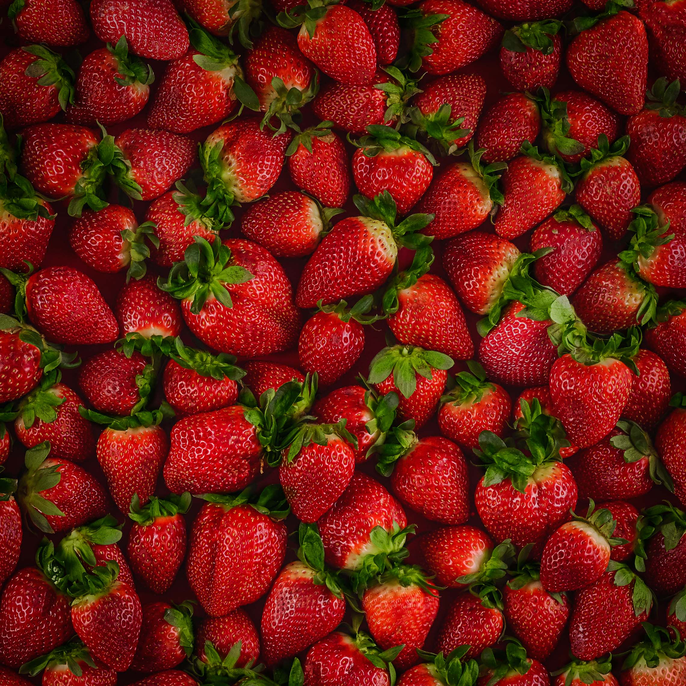 Strawberries_V1_0217_02bottles-1x1Crop